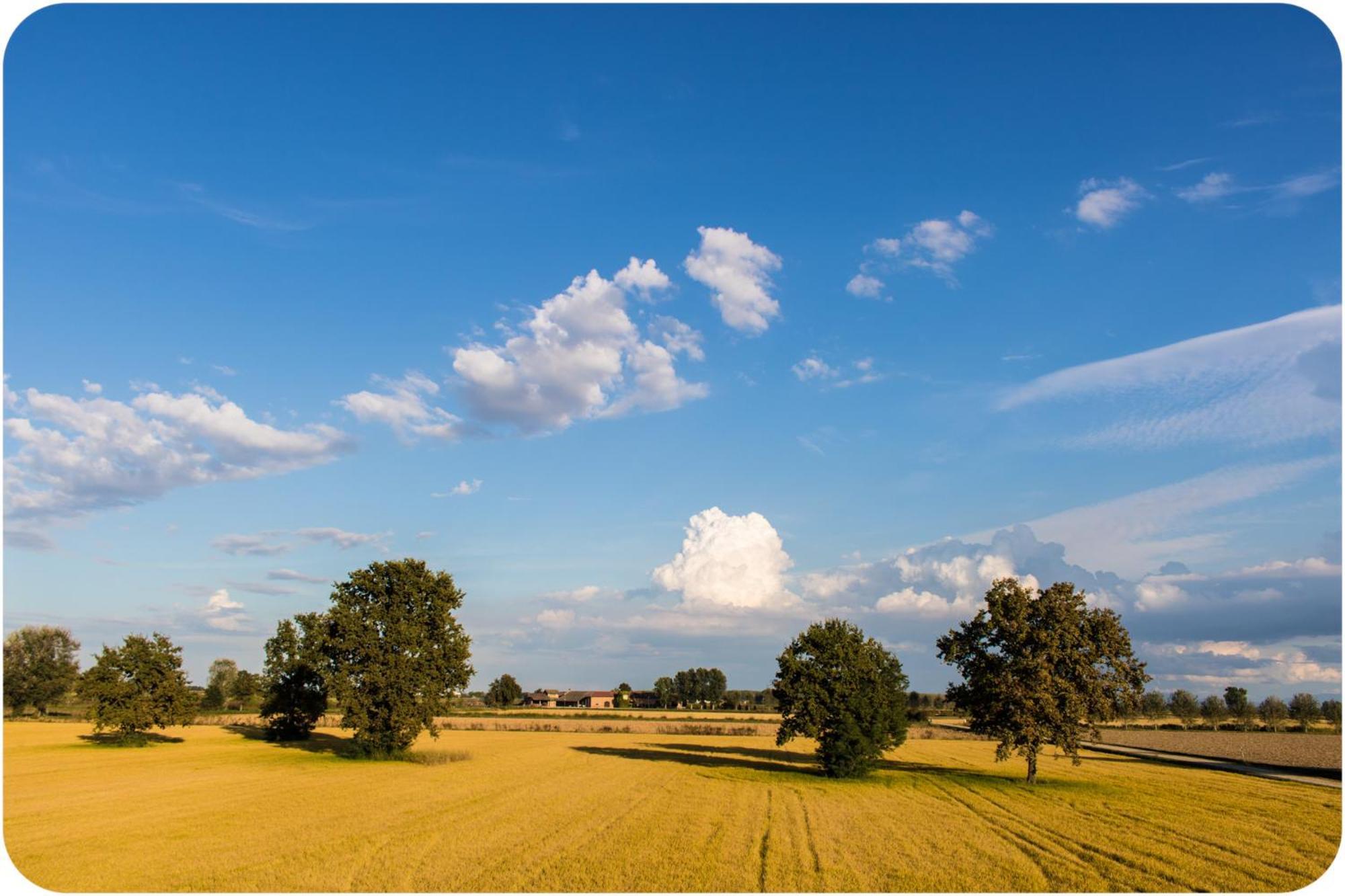 Farm stay Tenuta Isola Langosco